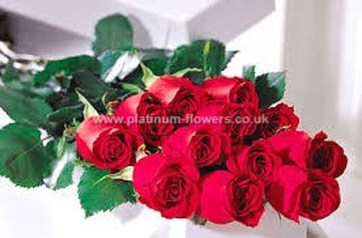 Dozen Red Valentines Day Roses